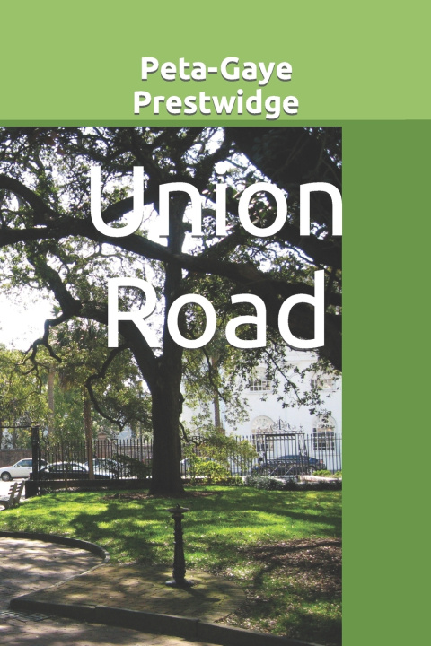 Kniha Union Road Peta-Gaye Prestwidge