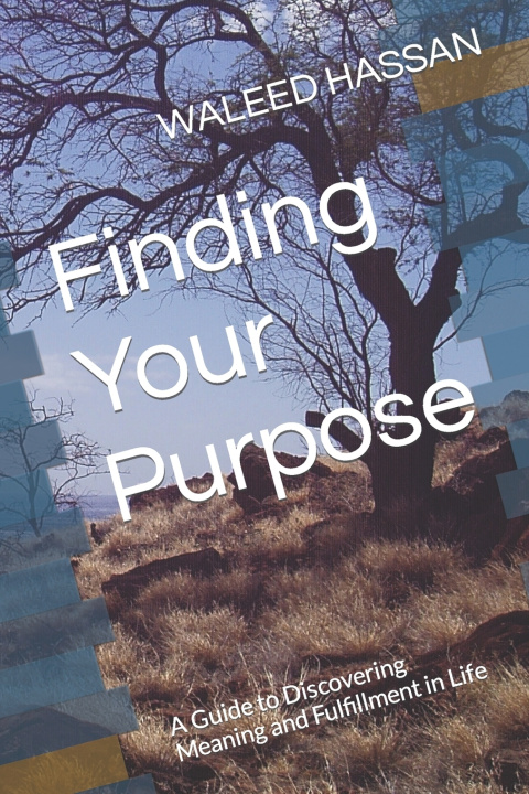Kniha Finding Your Purpose WALEED HASSAN