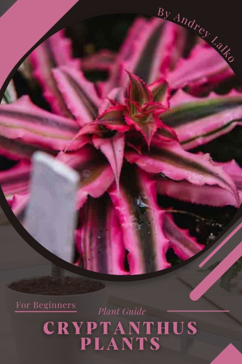 Kniha Cryptanthus Plants Andrey Lalko