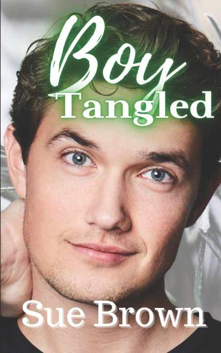 Kniha Boy Tangled Sue Brown