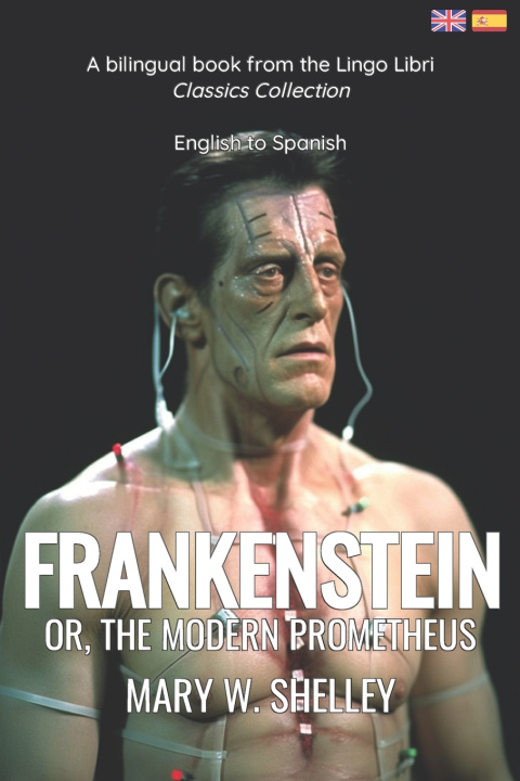 Kniha Frankenstein (Translated) Mary W Shelley