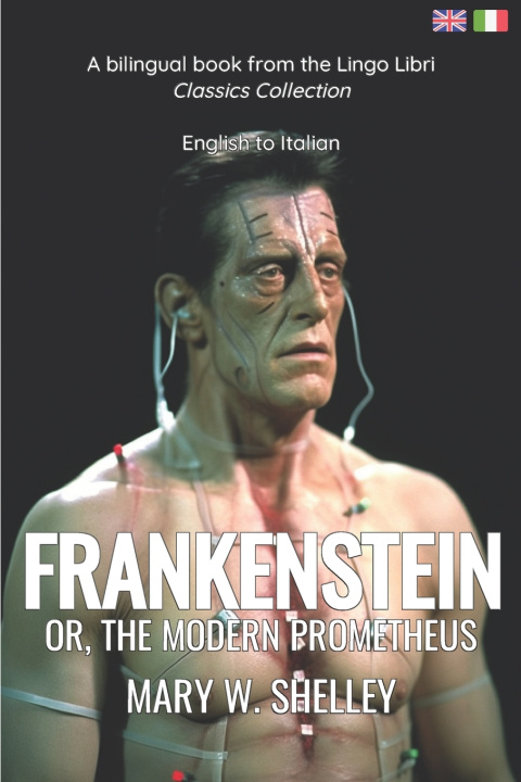 Boek Frankenstein (Translated) Mary W Shelley