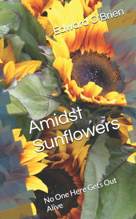 Kniha Amidst Sunflowers Edward O'Brien