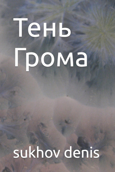 Buch Тень Грома sukhov denis