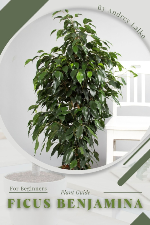 Kniha Ficus Benjamina Andrey Lalko