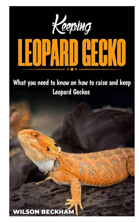 Kniha KEEPING LEOPARD GECKO WILSON BECKHAM