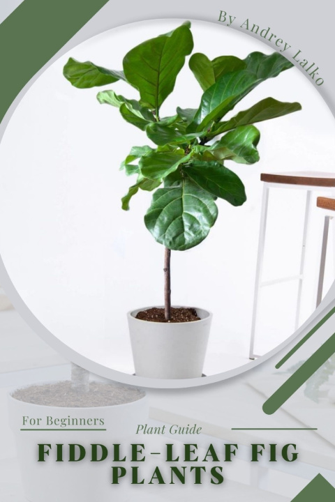 Kniha Fiddle-leaf Fig Plants Andrey Lalko