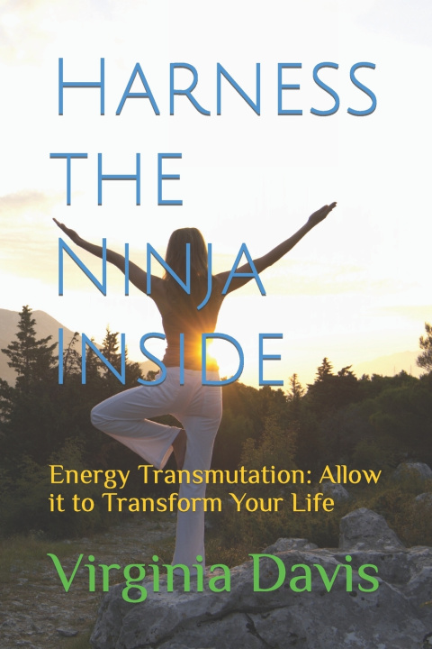 Boek Harness Your Ninja virginia davis