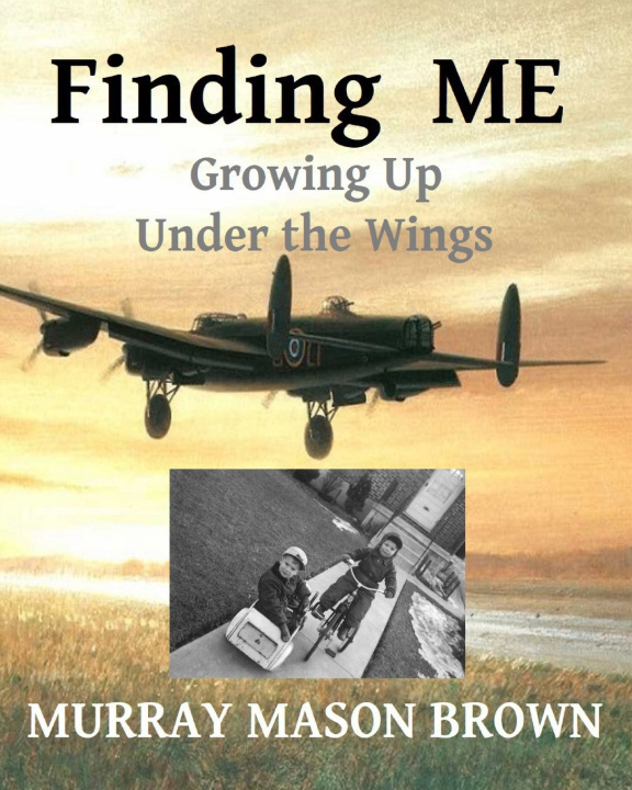 Kniha Finding ME Murray Mason Brown
