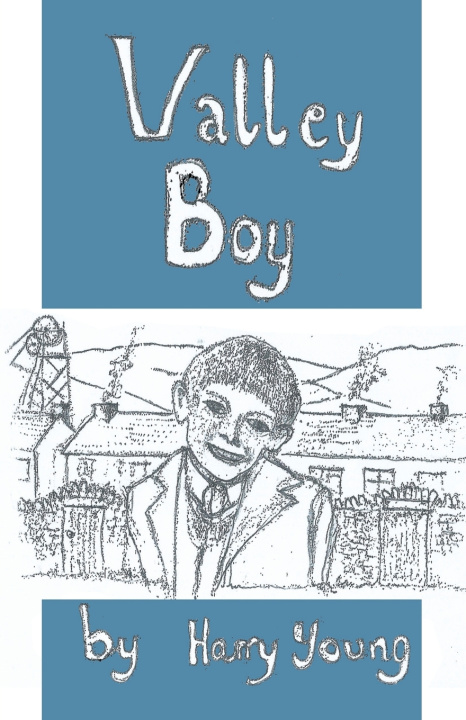 Kniha VALLEY BOY Harry Young