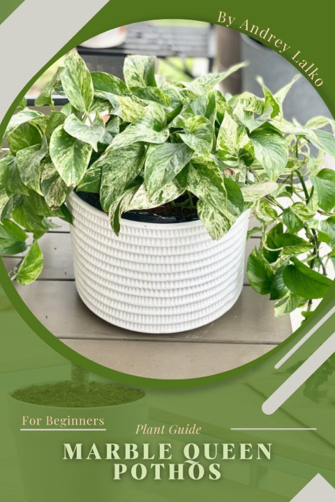 Kniha Marble Queen Pothos Andrey Lalko