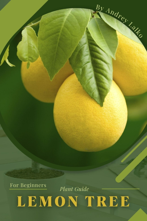 Kniha Lemon Tree Andrey Lalko