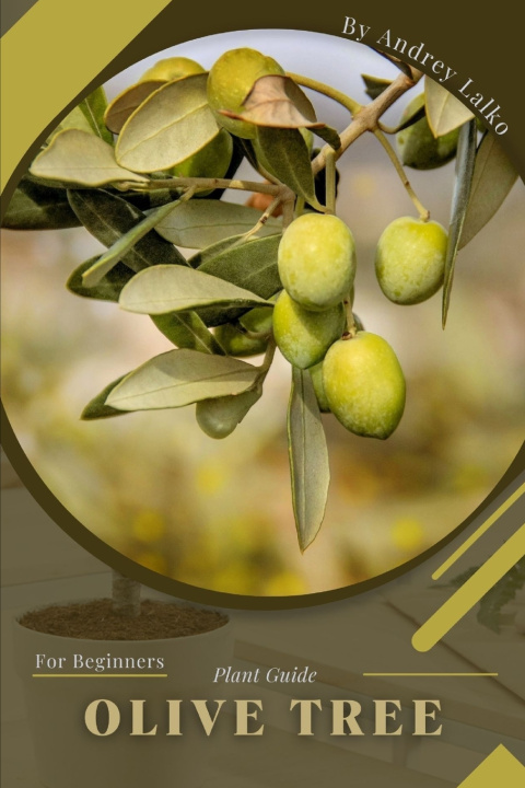 Kniha Olive Tree Andrey Lalko