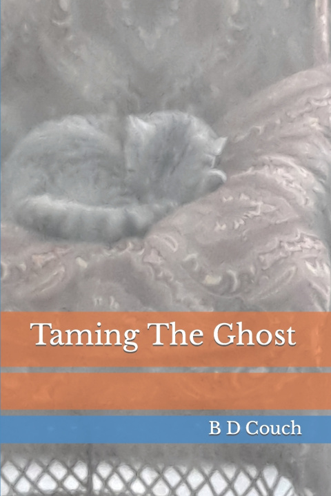 Kniha Taming The Ghost B D Couch