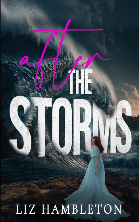 Kniha After the Storms Liz Hambleton