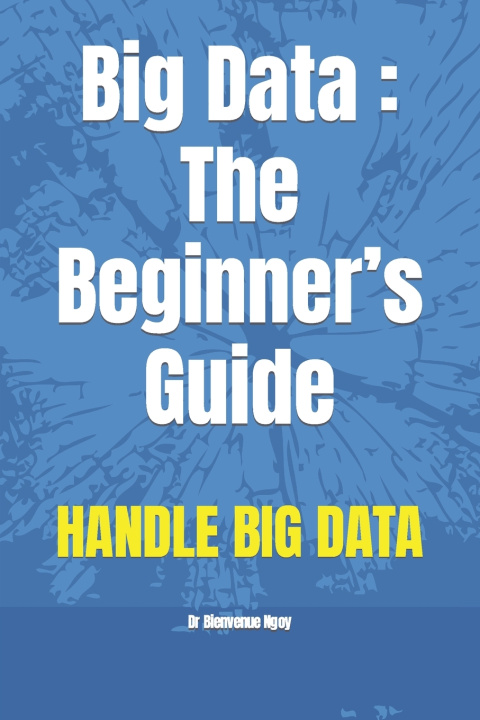 Knjiga Big Data Dr Bienvenue Ngoy