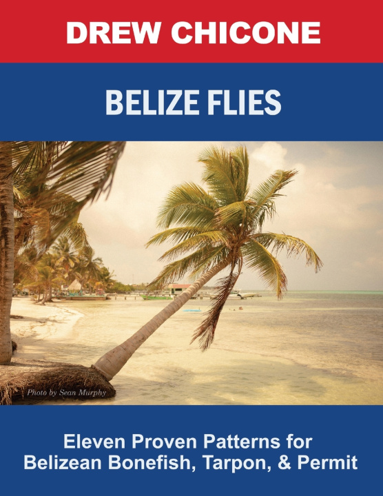 Kniha Belize Flies Drew Chicone