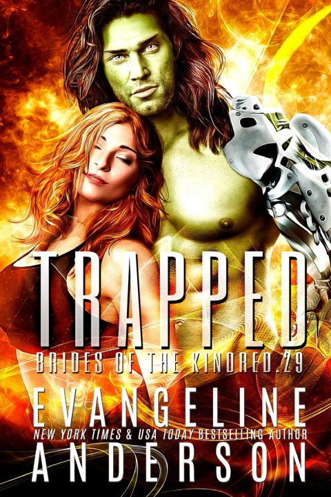 Kniha Trapped Faith Anderson