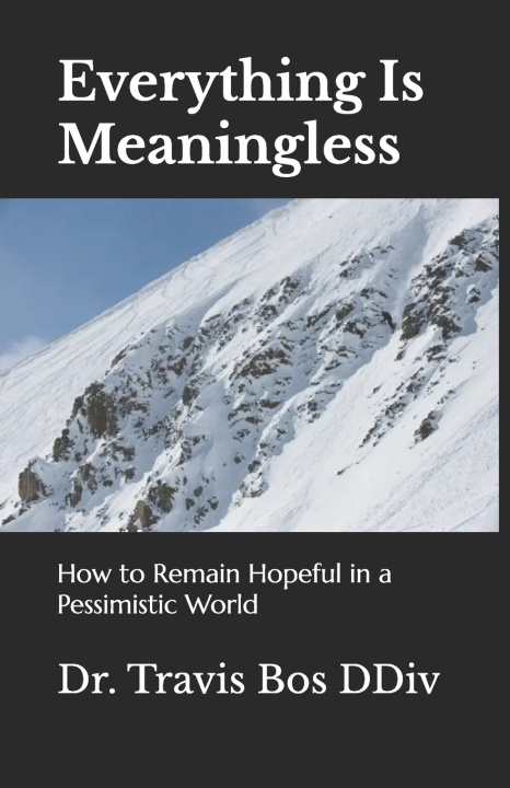 Kniha Everything Is Meaningless Travis Bos