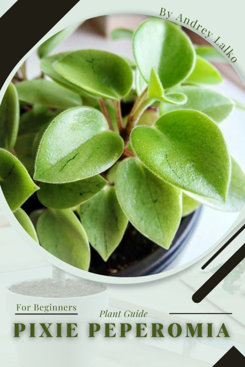 Knjiga Pixie Peperomia Andrey Lalko