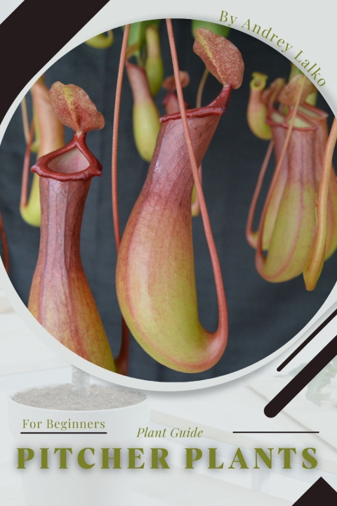 Kniha Pitcher Plants Andrey Lalko