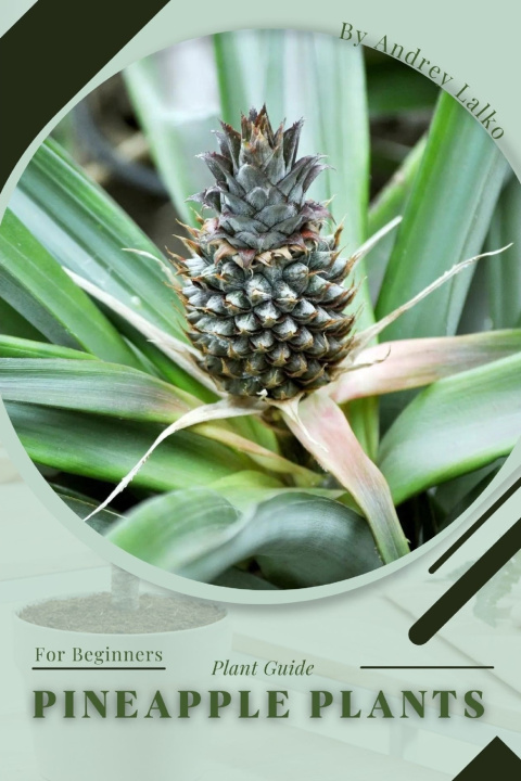 Kniha Pineapple Plants Andrey Lalko