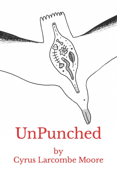 Kniha UnPunched Cyrus Larcombe Moore