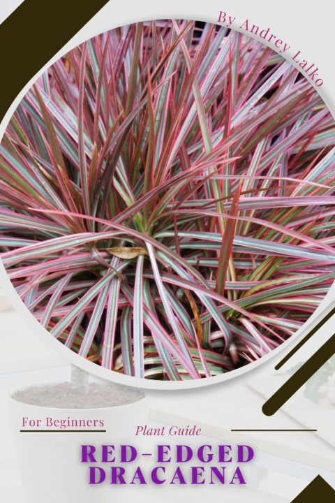 Kniha red-edged dracaena Andrey Lalko
