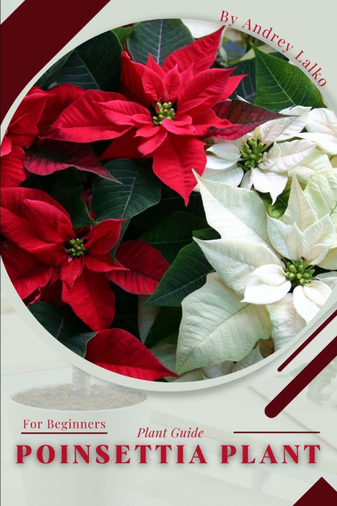 Kniha Poinsettia Plant Andrey Lalko