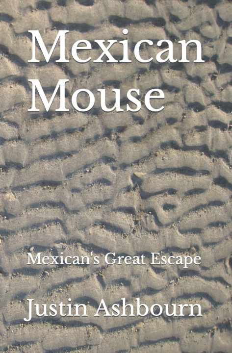 Kniha Mexican Mouse Justin Ashbourn