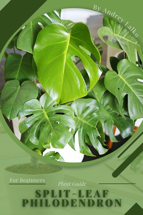 Knjiga Split-Leaf Philodendron Andrey Lalko