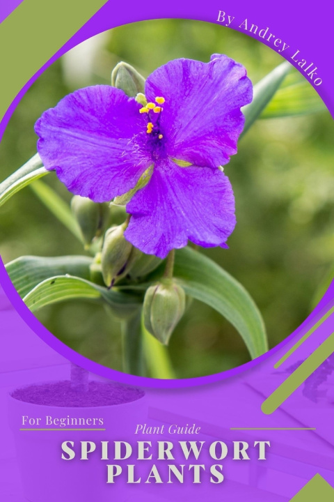 Knjiga Spiderwort Plants Andrey Lalko