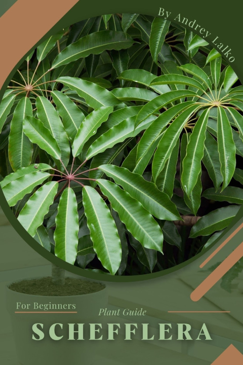 Knjiga Schefflera Andrey Lalko