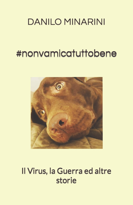 Knjiga #nonvamicatuttobene DANILO MINARINI