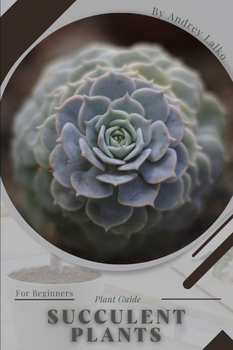 Kniha Succulent Plants Andrey Lalko