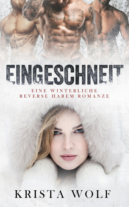 Kniha Eingeschneit Krista Wolf