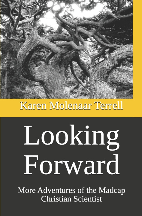 Kniha Looking Forward Karen Molenaar Terrell