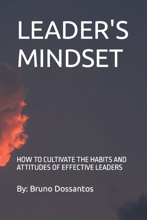 Kniha LEADER'S MINDSET Bruno Dossantos