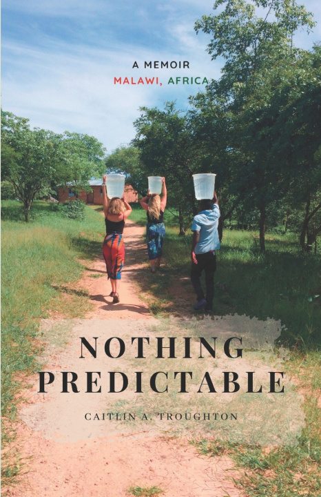 Knjiga Nothing Predictable Caitlin A. Troughton