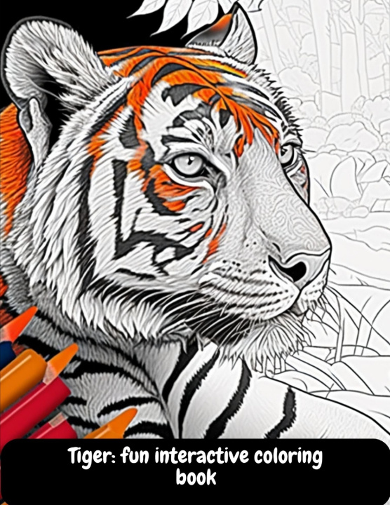 Kniha Tiger Illia sid