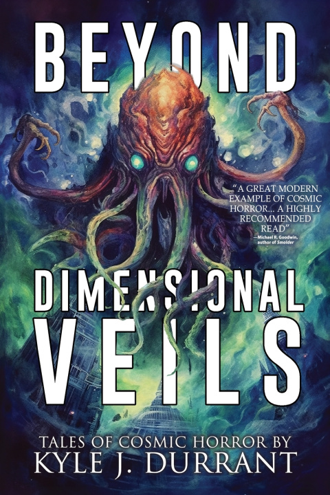 Knjiga Beyond Dimensional Veils Velox Books