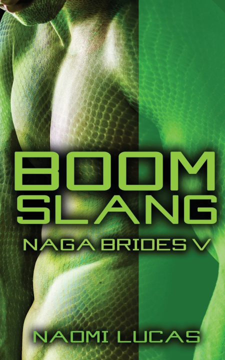 Kniha Boomslang Naomi Lucas