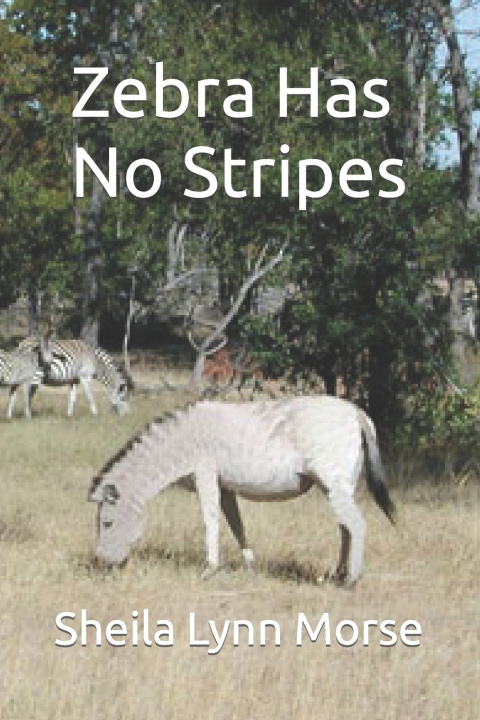 Kniha Zebra Has No Stripes Sheila Lynn Morse