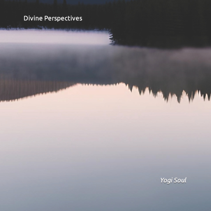Kniha Divine Perspectives Yogi Soul