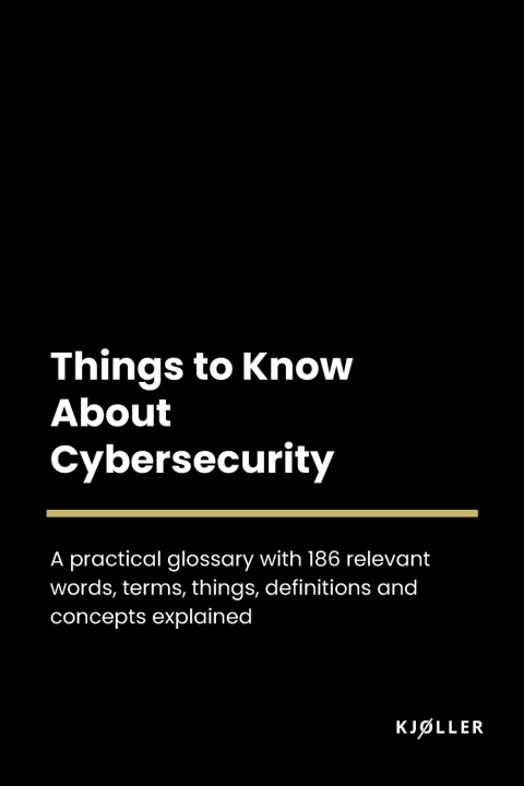 Knjiga Things to Know About Cybersecurity Kjøller