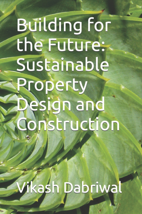 Knjiga Building for the Future Vikash Dabriwal