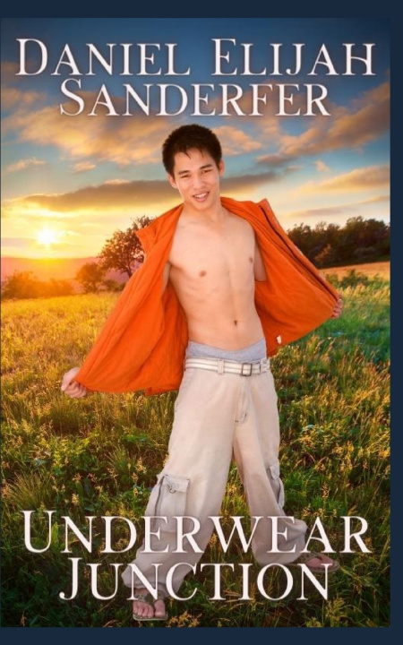Kniha Underwear Junction Daniel Elijah Sanderfer