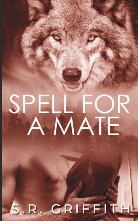 Knjiga Spell for a Mate S.R. Griffith