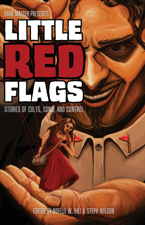 Knjiga Little Red Flags Noelle W Ihli