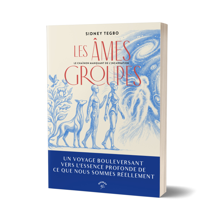 Kniha Les âmes groupes Tegbo